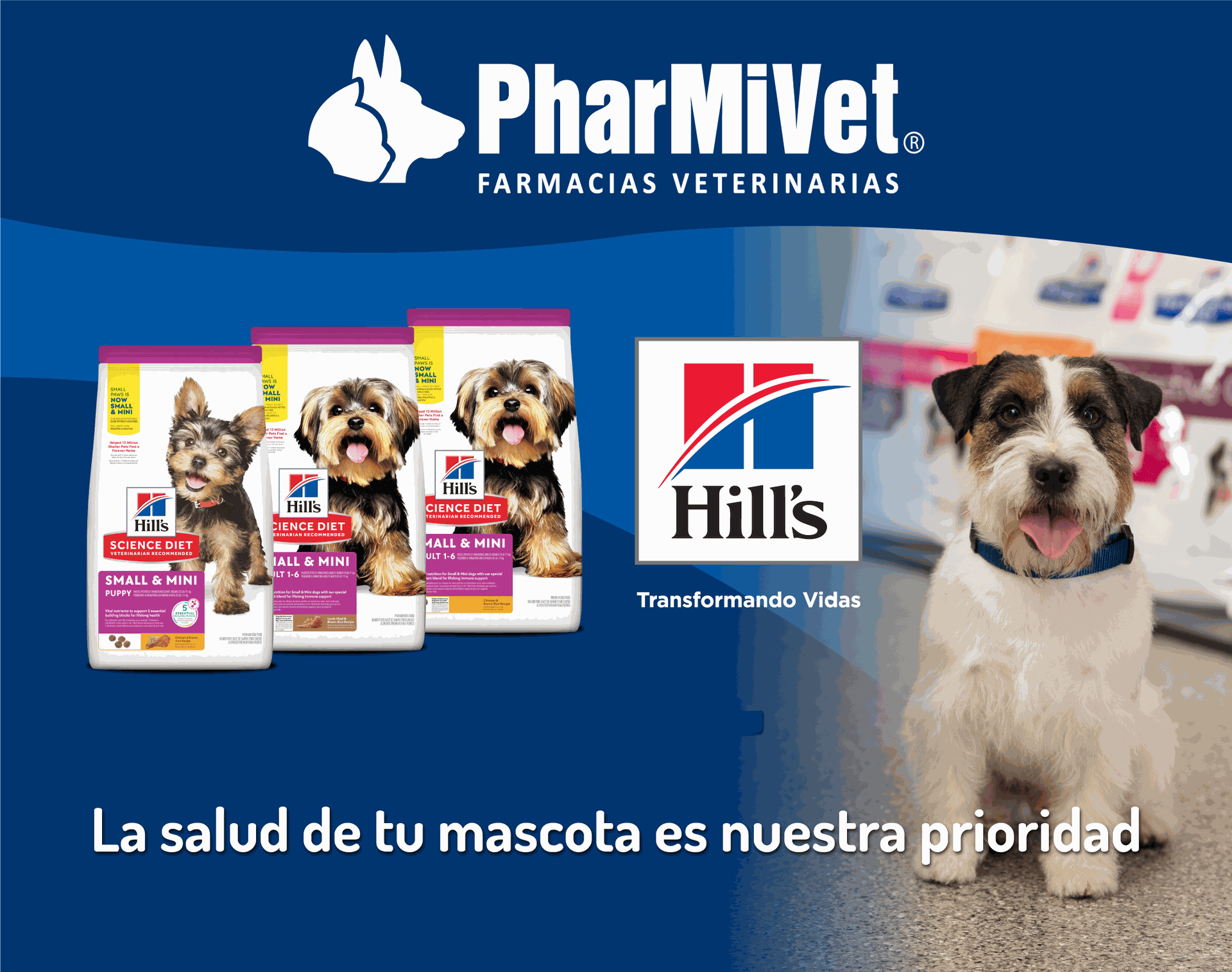 Detergente para Ropa y Cama de Mascotas – Vet Pharma Perú
